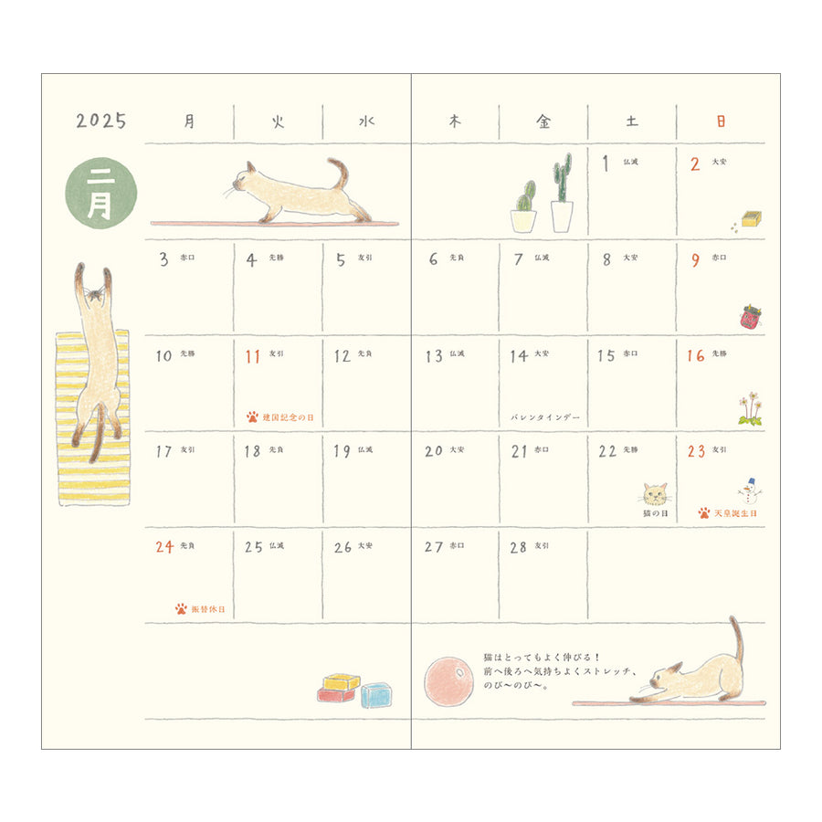 MIDORI - Taschenkalender 2025 - B6 Slim Katze